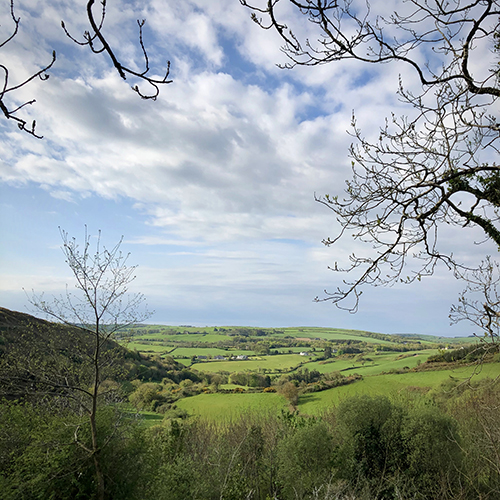 looking from a cottage in Reavilleen, Ireland down the view of a lush green valley out to the Atlantic Ocean